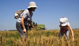 收获的季节在线观看,跟随季节的脚步，在线欣赏农耕之美